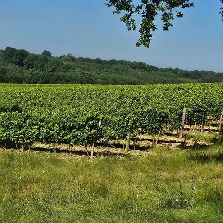 Maison Au Milieu Des Vignes Semesterbostad *