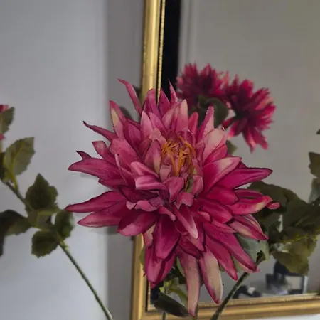 Semesterbostad Maison Au Milieu Des Vignes