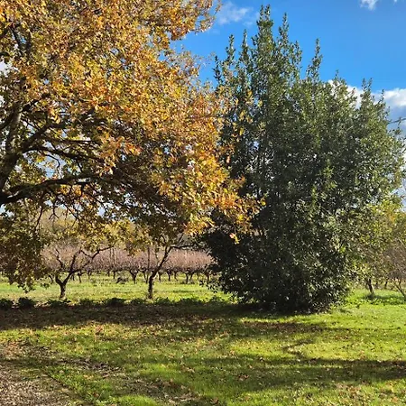Maison Au Milieu Des Vignes Hébergement de vacances