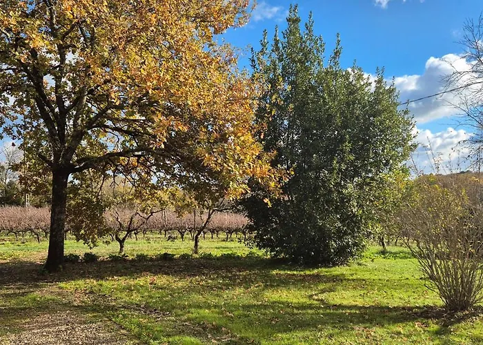 Maison Au Milieu Des Vignes Nyaraló