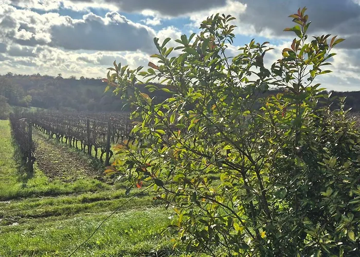 Nyaraló Maison Au Milieu Des Vignes *