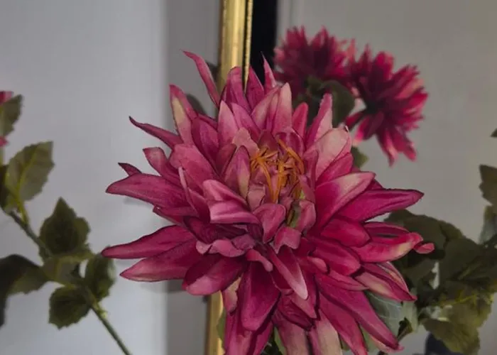 Nyaraló Maison Au Milieu Des Vignes